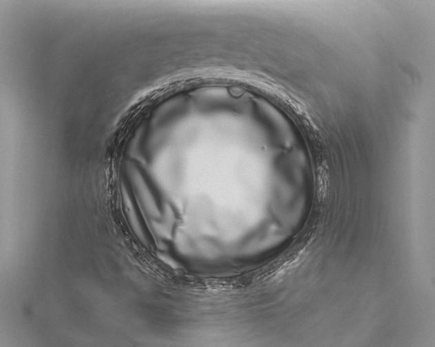 X0000115521494200911201648