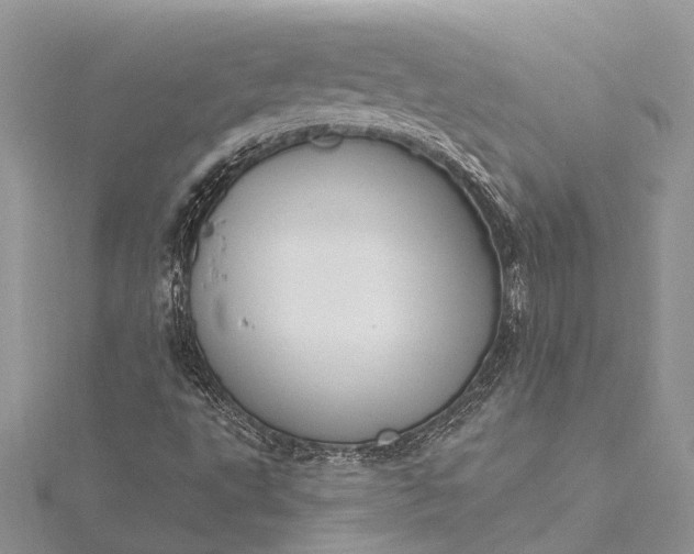 X0000115521495200911201648