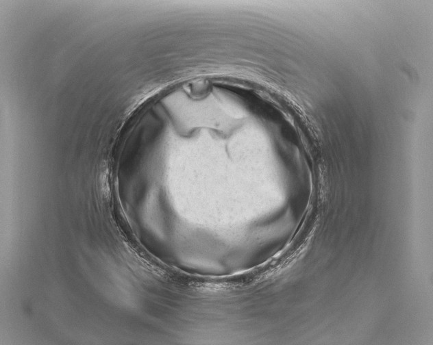 X0000115521497200911201648