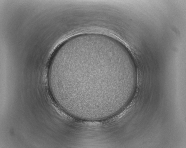 X0000115521498200911201648