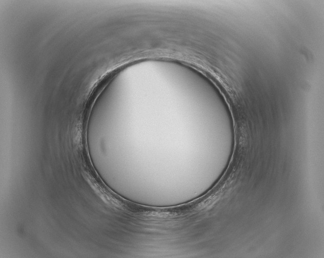 X0000115521499200911201648