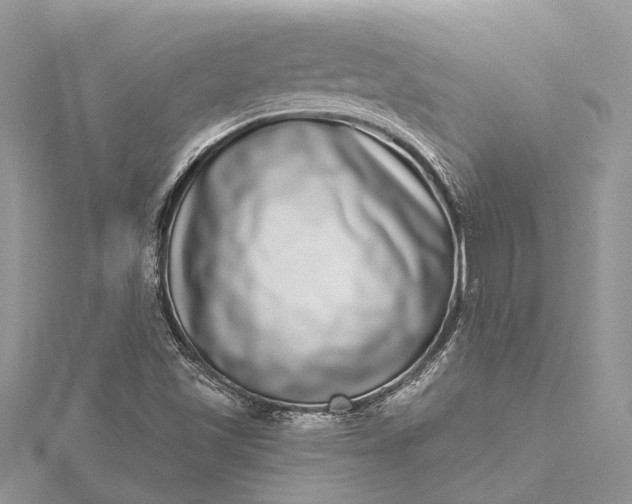 X0000115521501200911201648