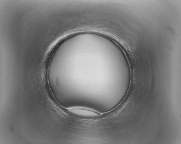 X0000115521502200911201648