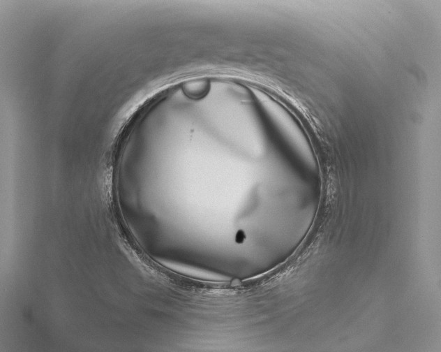 X0000115521503200911201648