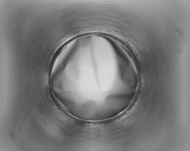 X0000115521505200911201648