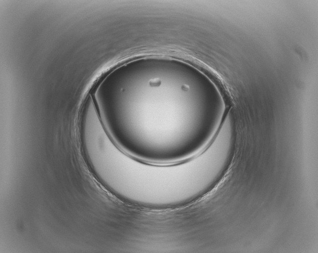 X0000115521506200911201648