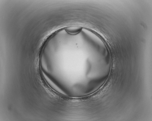 X0000115521507200911201648