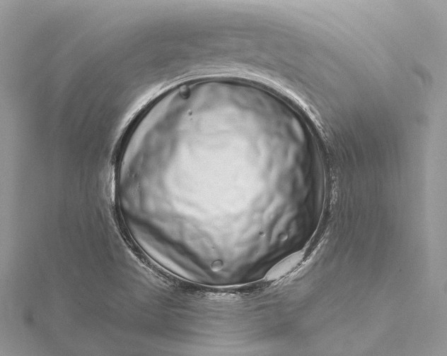 X0000115521509200911201648