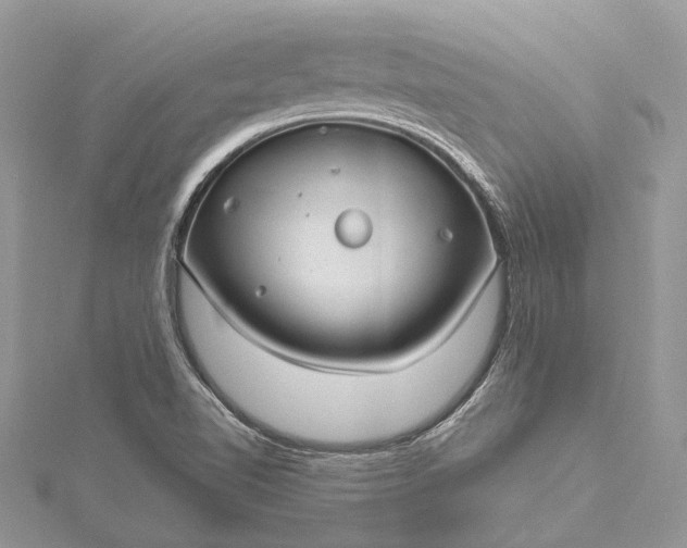 X0000115521510200911201648