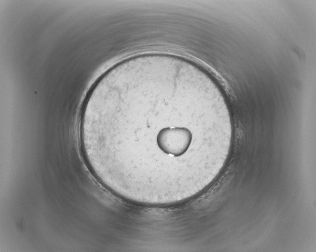 X0000115521514200911201648