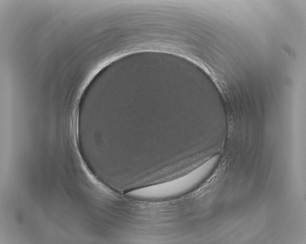 X0000115521515200911201648