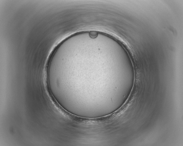 X0000115521517200911201648