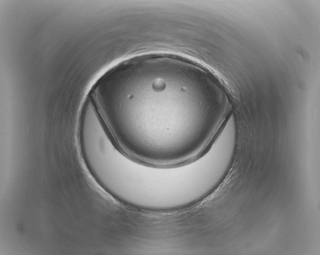 X0000115521518200911201648