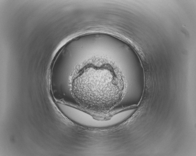 X0000115521522200911201648