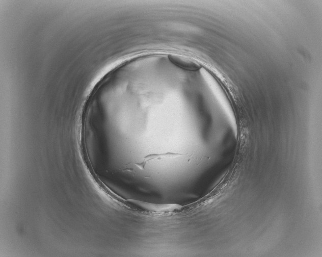 X0000115521523200911201648