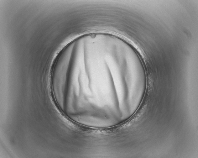 X0000115521525200911201648