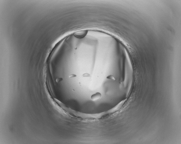 X0000115521526200911201648