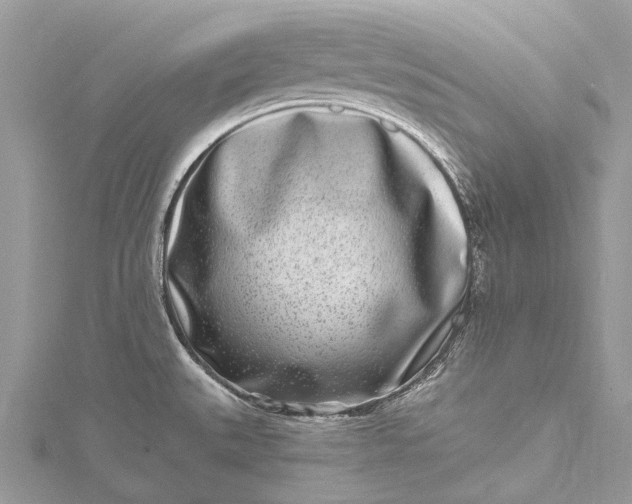 X0000115521527200911201648