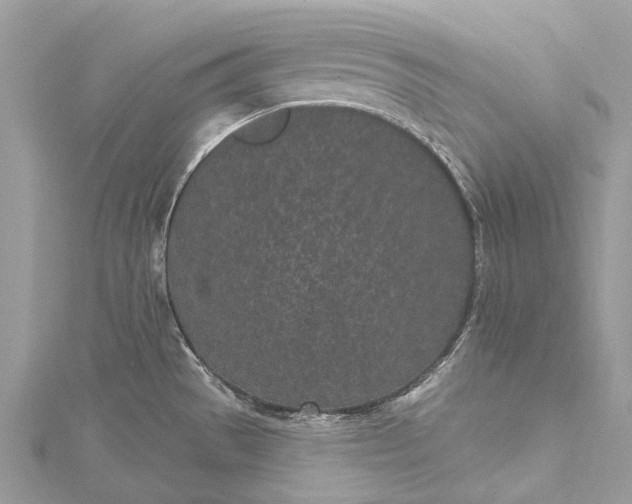 X0000115521529200911201648