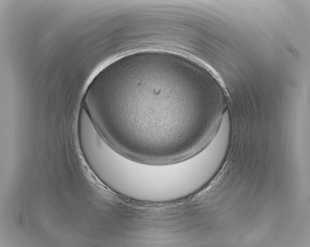 X0000115521530200911201648