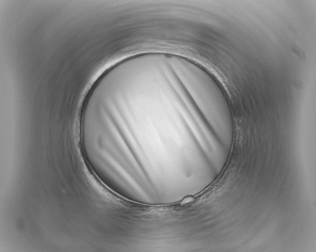 X0000115521531200911201648