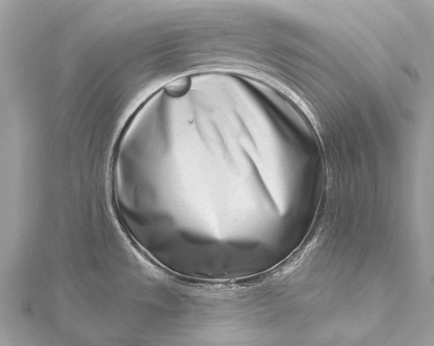 X0000115521533200911201648