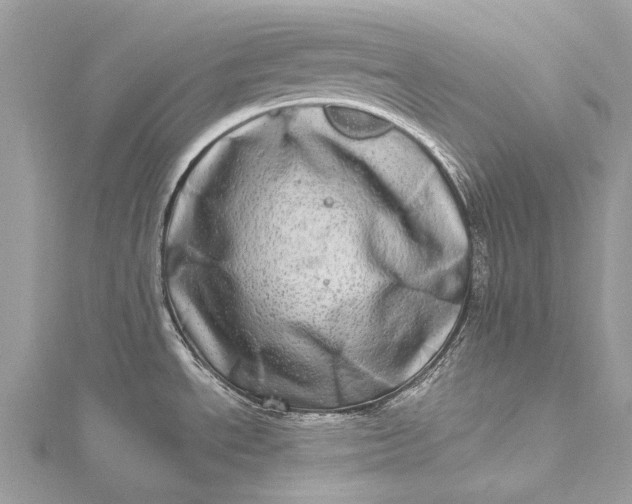 X0000115521534200911201648