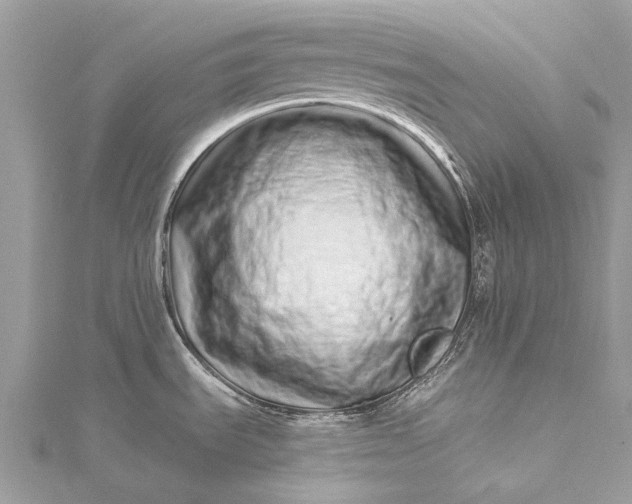 X0000115521535200911201648