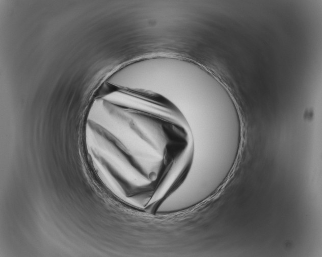 X0000115520001200911271333