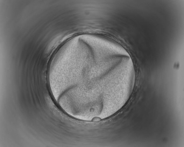 X0000115520002200911271333