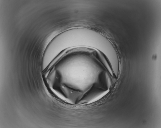 X0000115520003200911271333