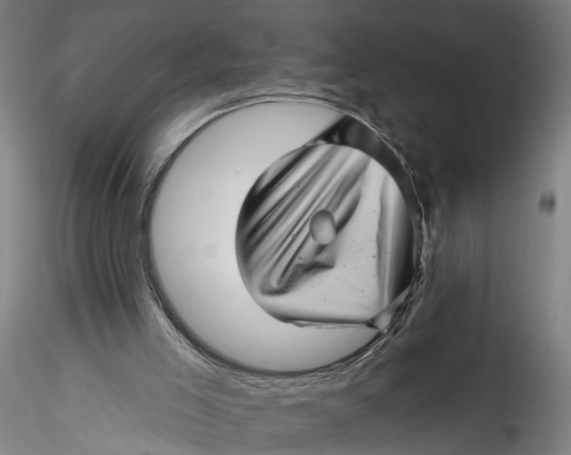 X0000115520005200911271333