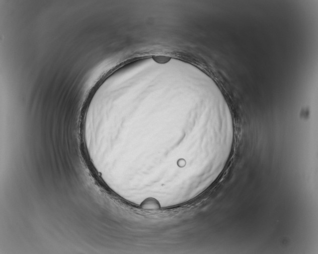 X0000115520006200911271333