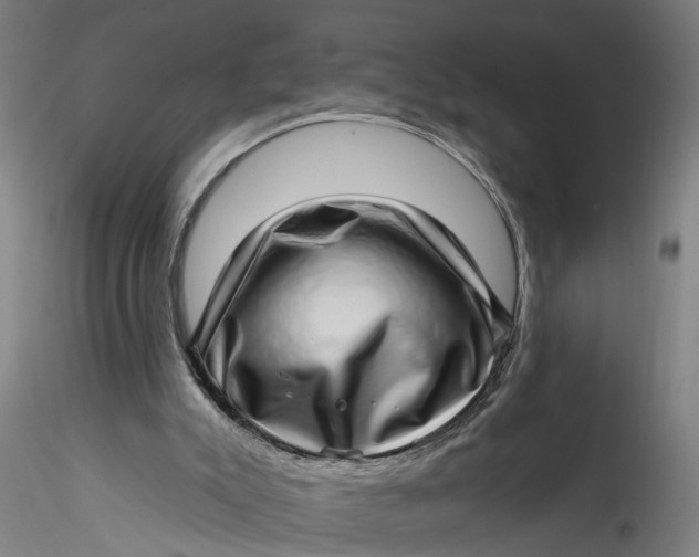 X0000115520007200911271333