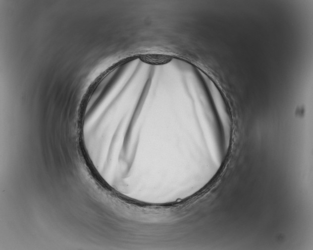 X0000115520008200911271333