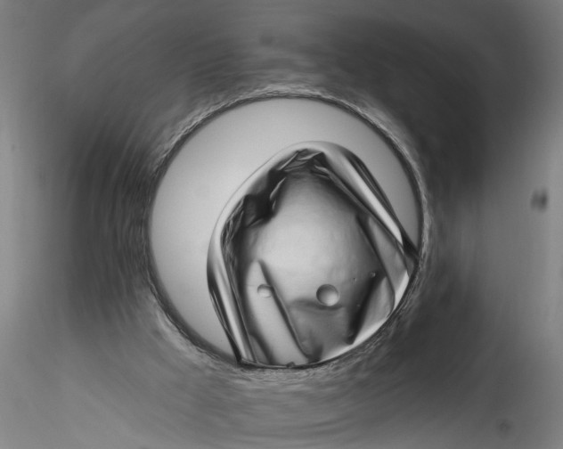 X0000115520009200911271333