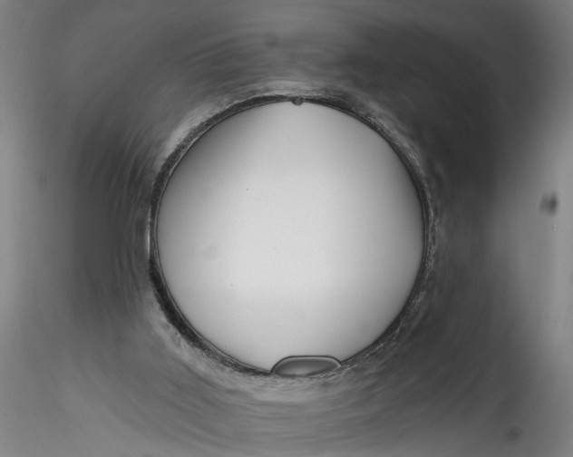 X0000115520011200911271333