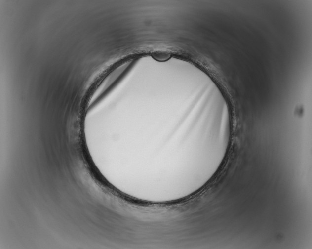 X0000115520012200911271333