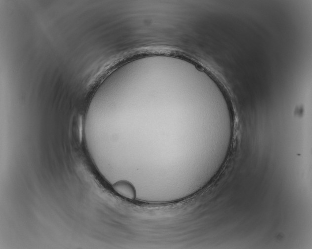 X0000115520013200911271333