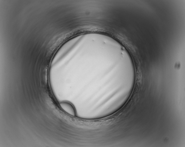 X0000115520014200911271333