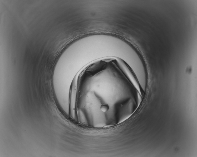 X0000115520017200911271333