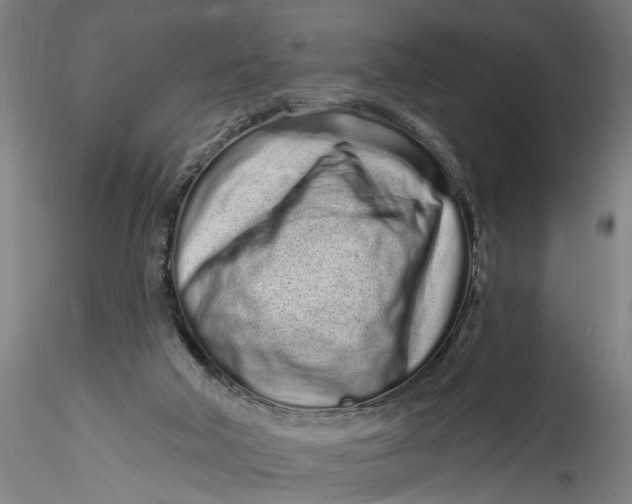 X0000115520018200911271333