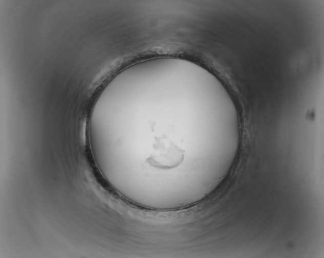 X0000115520019200911271333