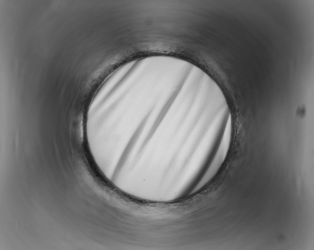 X0000115520020200911271333