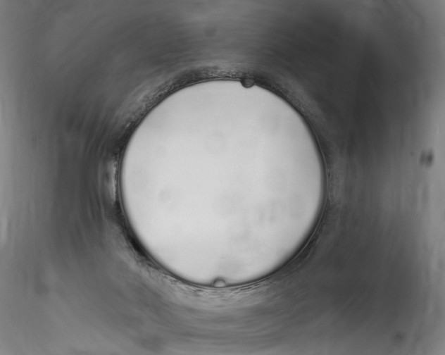 X0000115520022200911271333