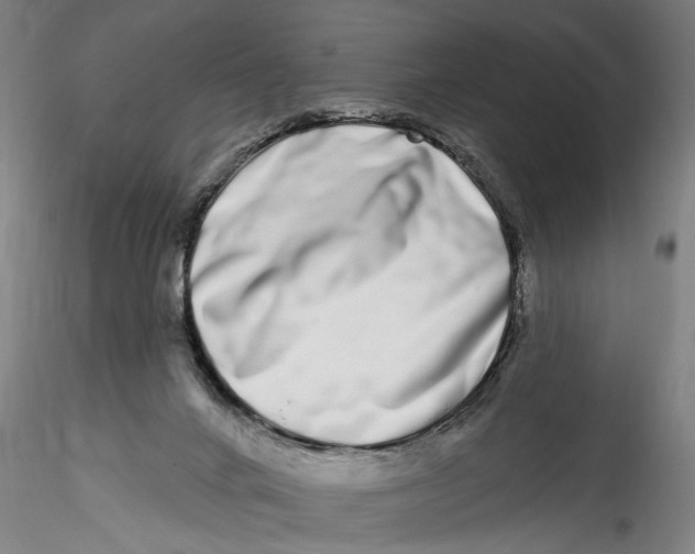 X0000115520024200911271333