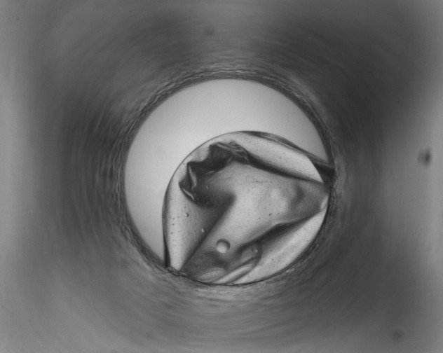 X0000115520025200911271333