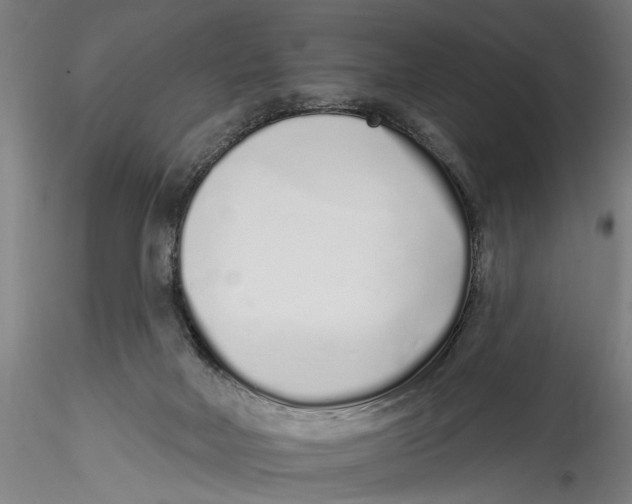 X0000115520026200911271333