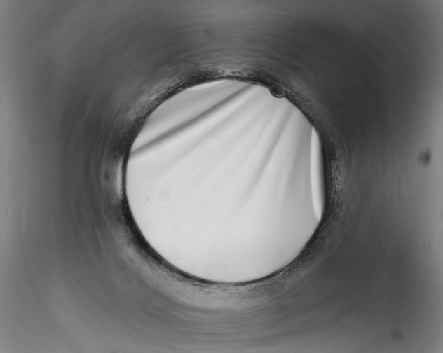 X0000115520028200911271333