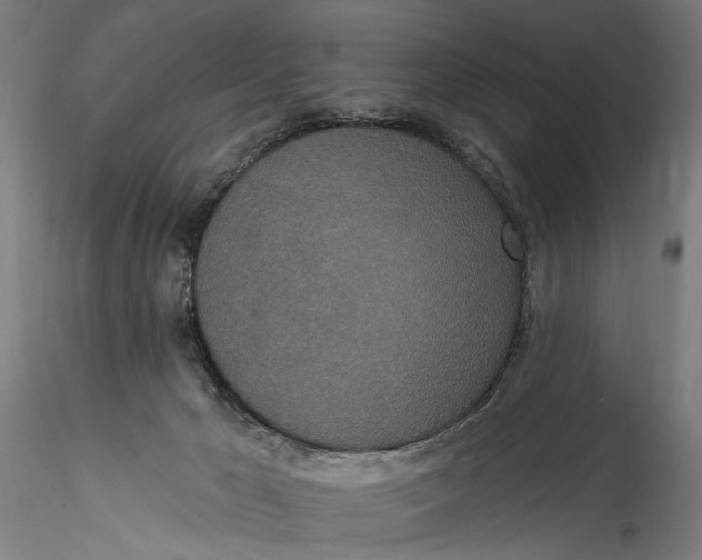 X0000115520029200911271333